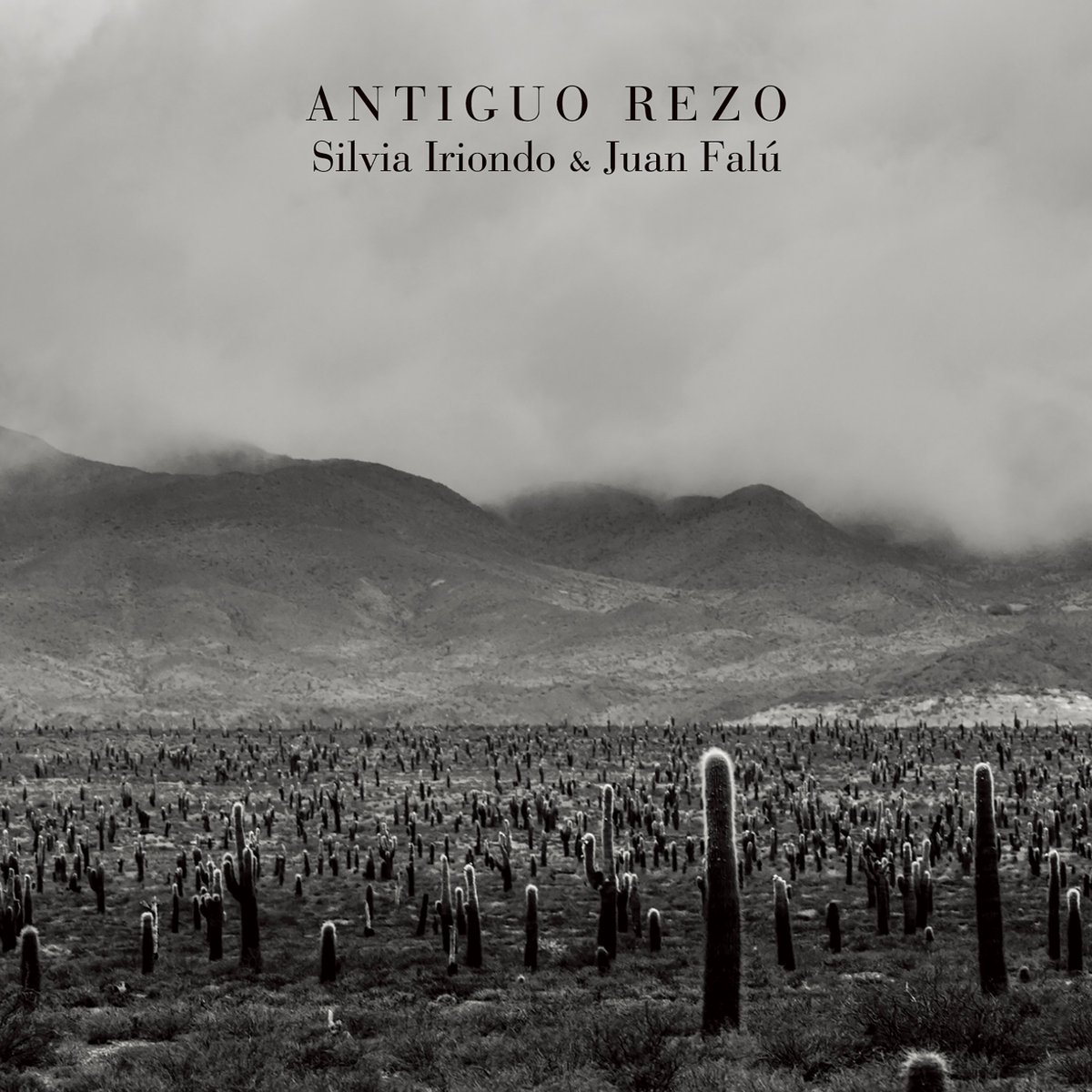 le_tabou's tweet photo. ANTIGURO ROZE / Silvia Iriondo &amp; Juan Falú / Spiral
https://t.co/qlFD227If1
アルゼンチンのシンガー シルヴィア・イリオンドとギタリスト/作曲家のフアン・ファルーによる作品。
夏の暑さも一段落してきたこの時期によく合い、聴く時間帯やシーンによって違う表情を見せてくれます。 https://t.co/twVRhRBE5e