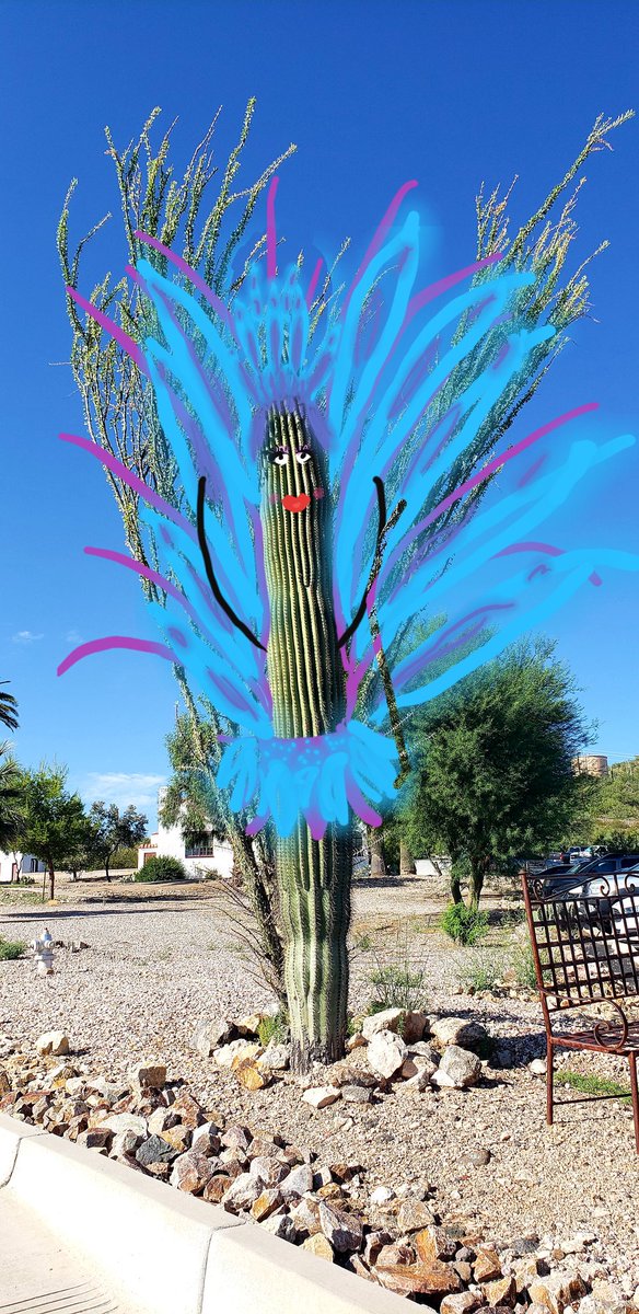 CuberlyH's tweet photo. #cactusman #picturerocksholly #vegas #showgirl https://t.co/z8qGOPWlkb