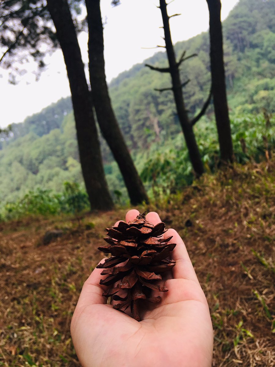 Hanya memberi tak harap kembali.