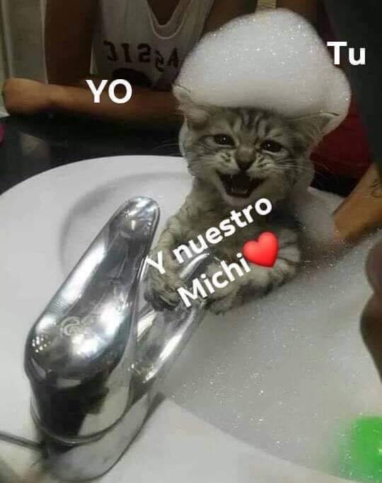 Tu Y Yo Asi Amor Imagenes Con Frases Divertidas Divertida
