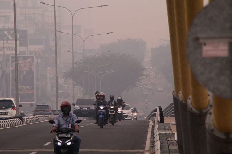 ies042's tweet photo. Selamatkan Riau dari ulah manusia yang tidak bertanggungjawab. Hukum pembakar hutan dan tutup izin usaha perusahaannya.
#HukumPembakarHutan 
#Saveriau 
#TPPIRiau 
#TPPIKampar 
@Kpw1Riau
@SherlyArianty 
@irmankalampayan 
@Adrianto71 
@Nahara_ST 
@wendymoretha https://t.co/iXIj2BIlLb