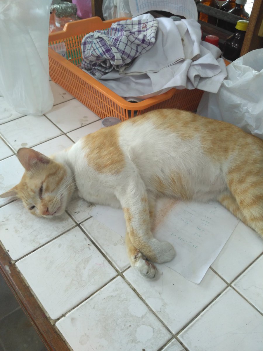 Uivatel Rest Zul Na Twitteru Kaget Bgt Dong Nyampe Lab Ada Uivatel Rest Zul Na Twitteru Kaget Bgt Dong Nyampe Lab Ada