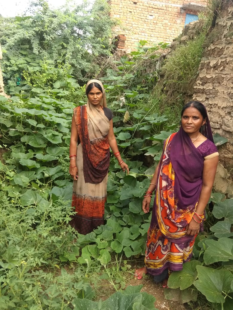 RGMVP's tweet photo. Nutrition conscious women of #SHGs raise small kitchen gardens @RGMVP GP Bilganw, Ma Sherawali SHG, Garden Block Sarila #BandaRegion https://t.co/xQuPM5bGCr