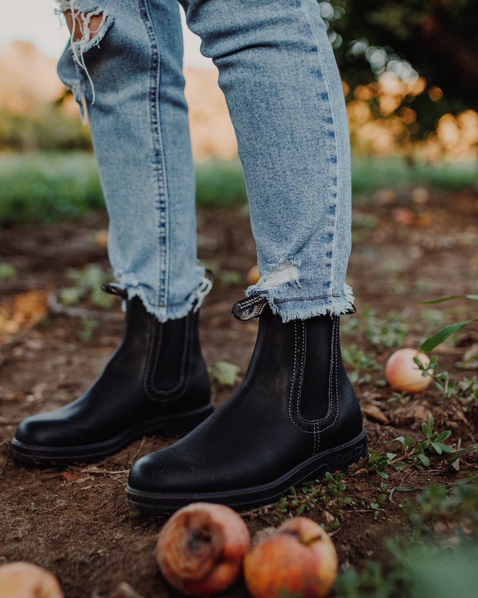 ll bean blundstone boots