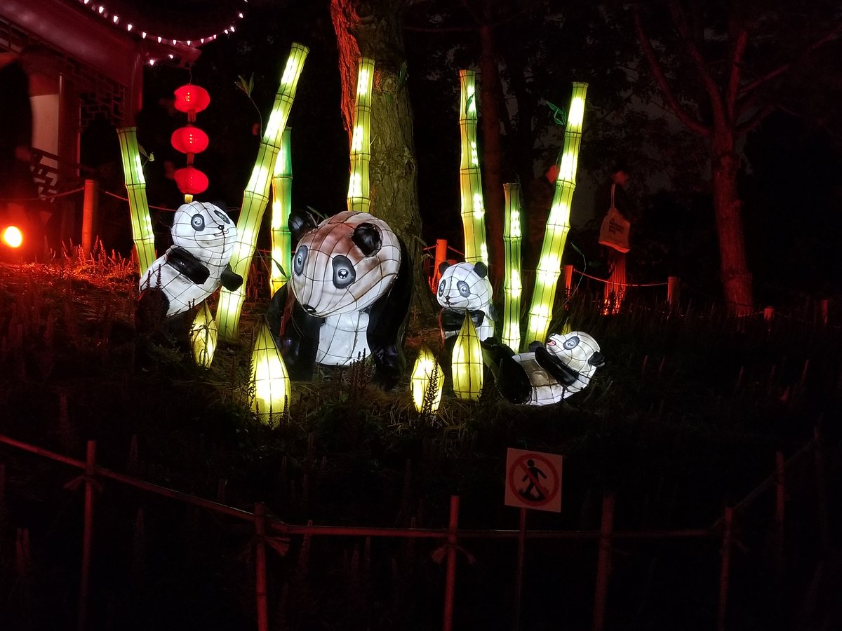 Katie_Fleming's tweet photo. 🐲🍃 Visited the gorgeous #montrealbotanicalgarden & their #gardensoflight 😍🎏
#montreal #friends #mtl #botanicalgardenmontreal https://t.co/CqHx1WfcYo