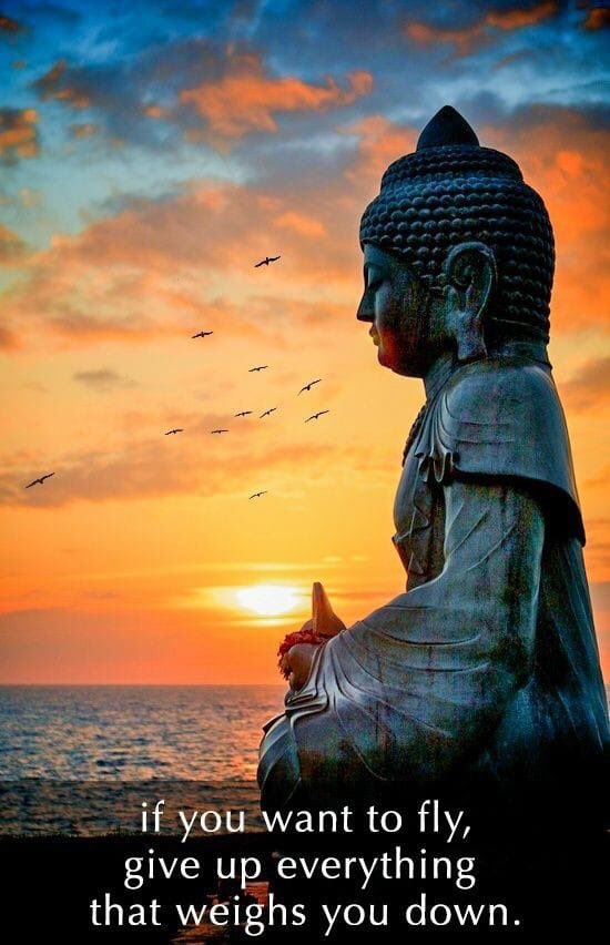 aashnaa's tweet photo. https://t.co/Oz5fQVShha