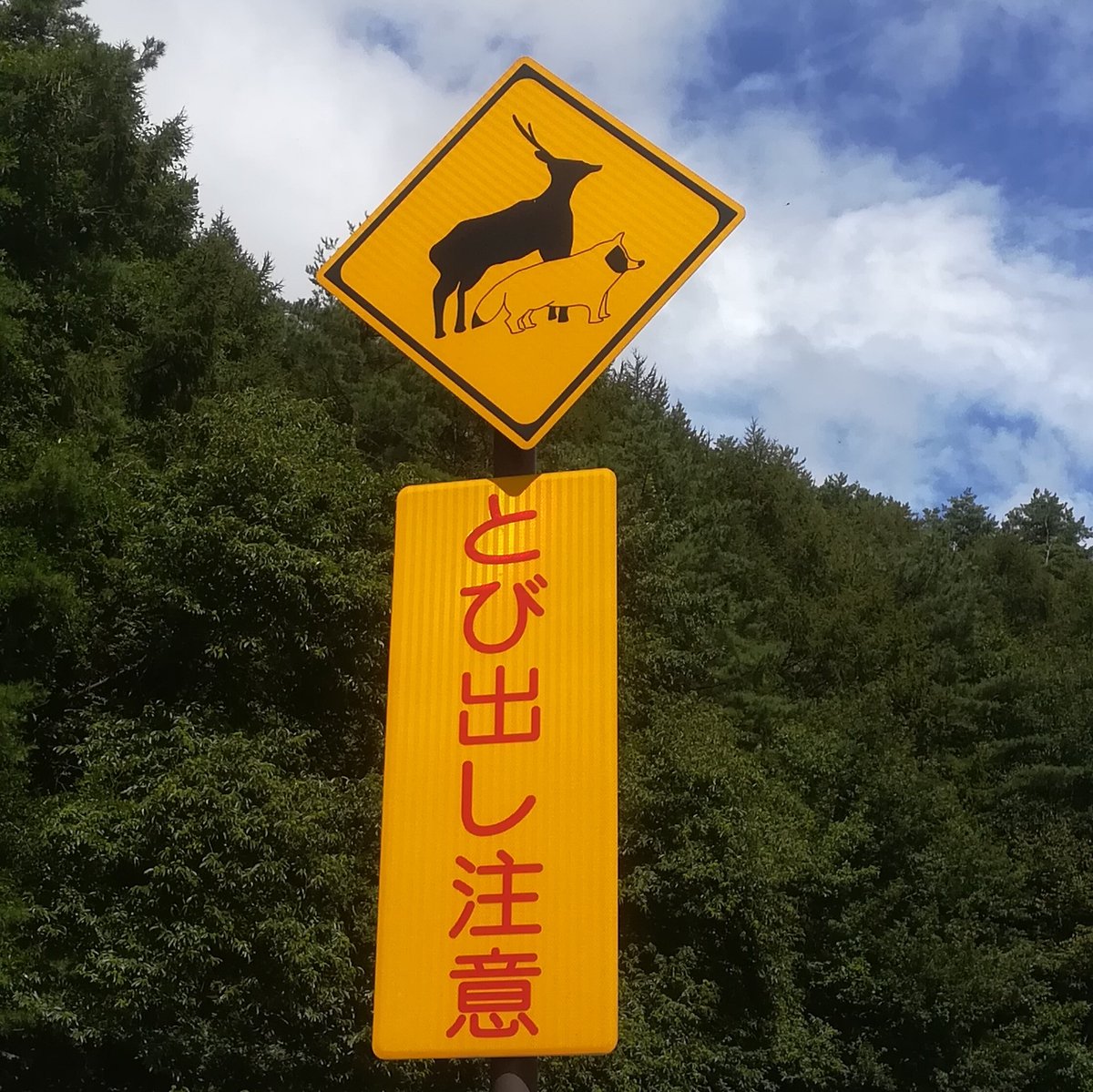おぞね No Twitter この標識は初めて見た 鹿と狸に注意 動物注意標識