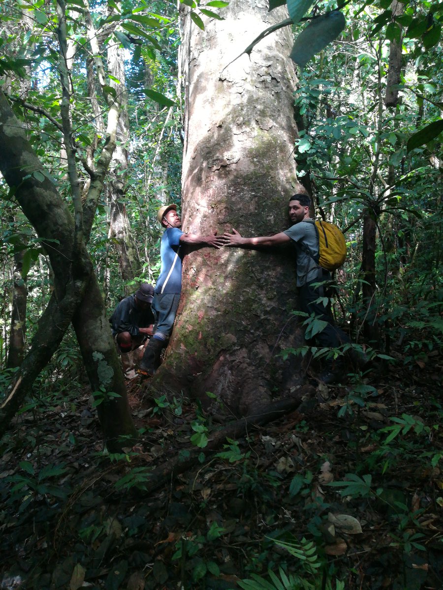 Nakau Programme tweet media