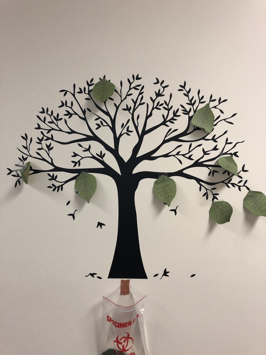 suzanne07021267's tweet photo. Our ED Compliment-Tree (staff write compliments to each other on a leaf and stick them on the tree). Team well being matters. ❤️ https://t.co/Qrzml2jNBy