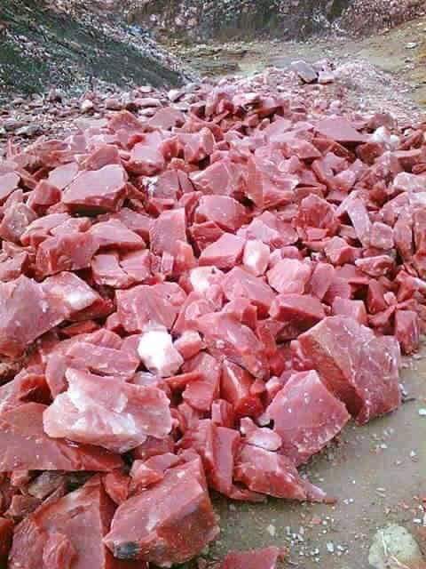 TkUstle's tweet photo. Stones in the meat like nature https://t.co/FmrhQOGRlW