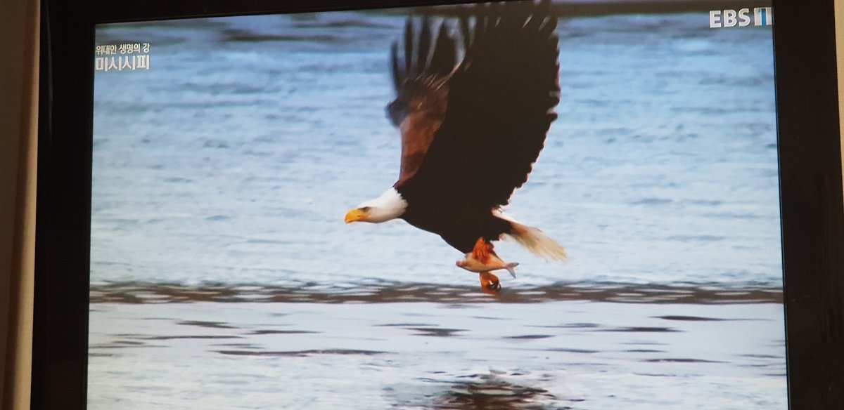 일본은 한국의 제안을 받아 들여야 합니다.
방사능 오염수를 태평양으로 방류하겠다는 것은 인류에 대한 협박입니다.
한국의 기술을 놀랍습니다. 
한국의 처리기술을 배워가서라도 일본오염이  지구를 살려야합니다.