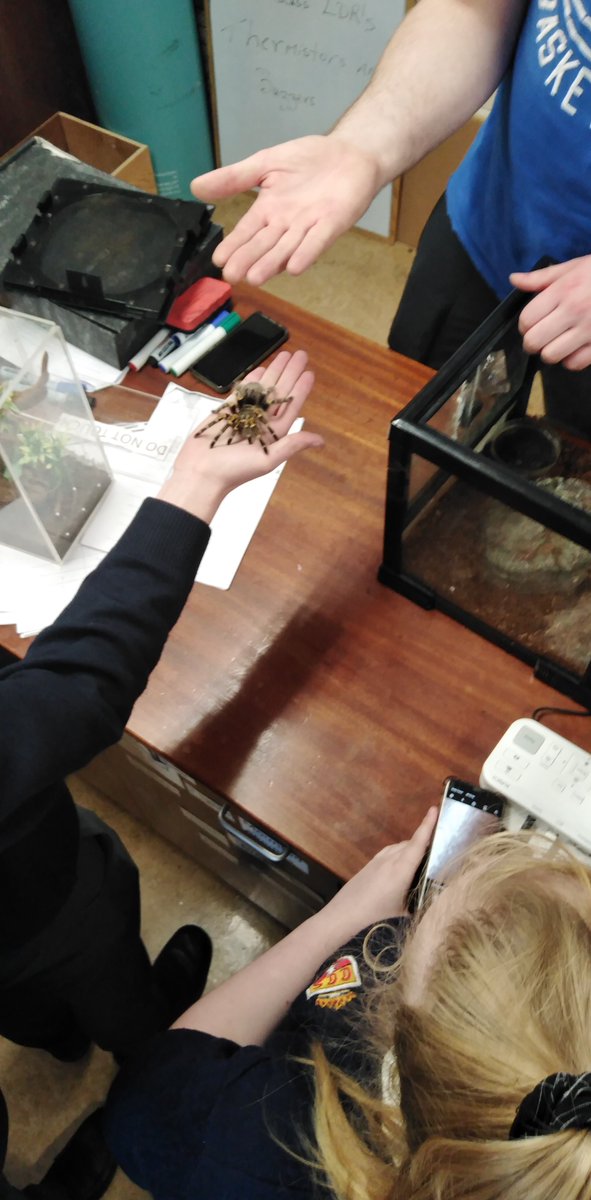 AgScienceCCS's tweet image. Sixth year Ag Science and Biology students has a great day last Thursday with Dr Dugon of NUIG. Students completed their mandatory Ecology experiments and had a little suprise in the afternoon. @CastlereaCs