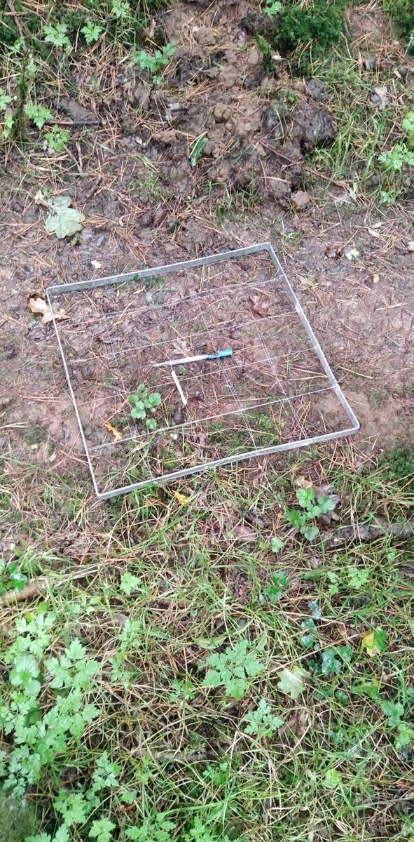 AgScienceCCS's tweet image. Sixth year Ag Science and Biology students has a great day last Thursday with Dr Dugon of NUIG. Students completed their mandatory Ecology experiments and had a little suprise in the afternoon. @CastlereaCs