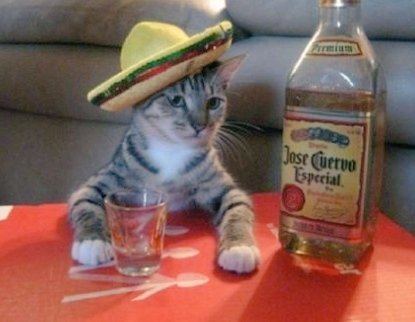 soyadolflow's tweet photo. Ya ando bien mexicanos al grito de guerra 😌🇲🇽 https://t.co/rsROVvDT0p