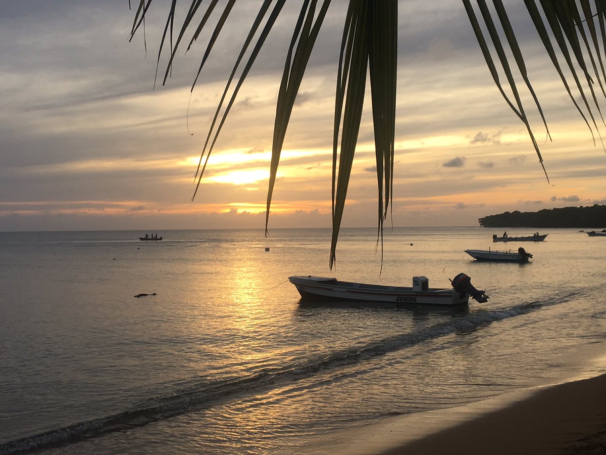 Si contara dormir como no vivir llevo entre 8 y 10 años muerto de un tiempo soñado....