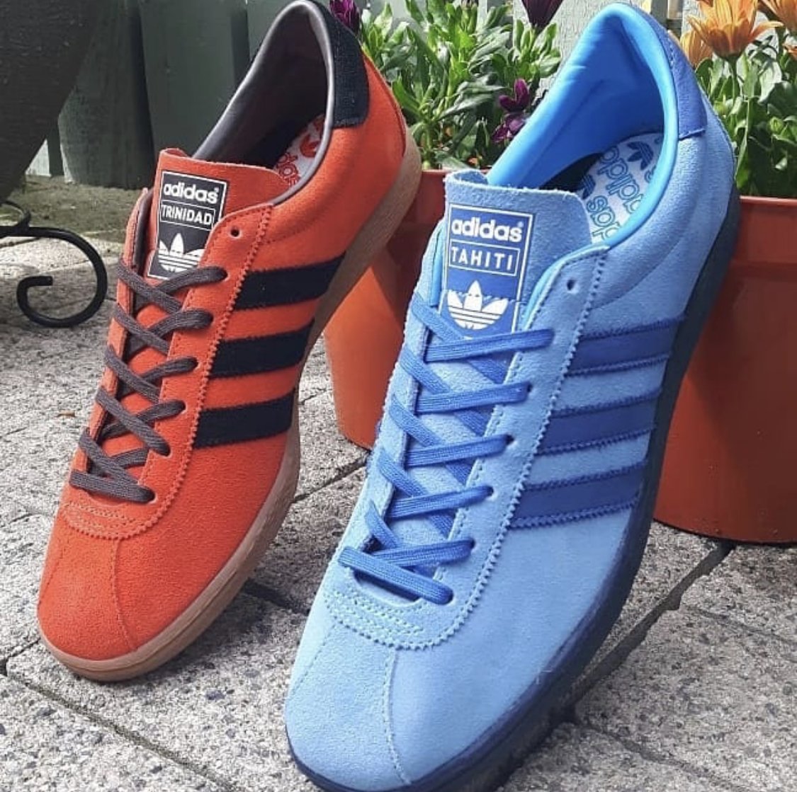 The Casuals Directory on Twitter: "Adidas Trinidad and Tahiti Pic Credit:  @bernie3stripes instagram https://t.co/xiLaHf2b87" / Twitter