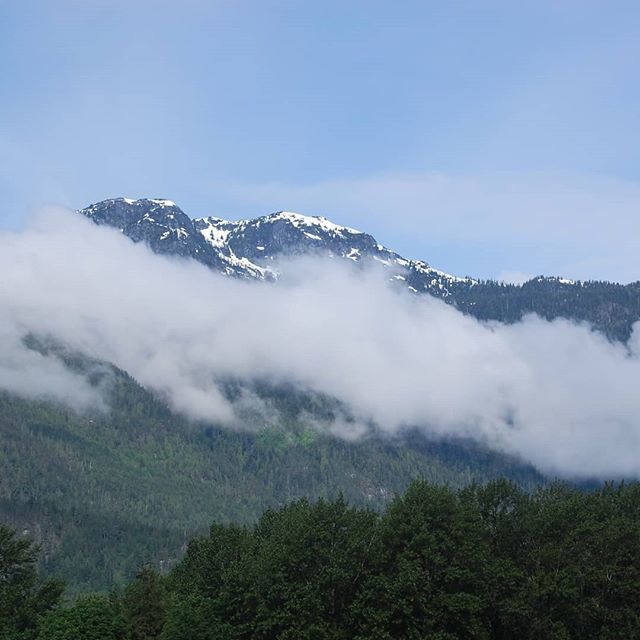 emmaspostcards's tweet photo. As you may have noticed, I don't really go in for the whole 'instant' part of Instagram 😳
.
#squamish #squamishbc #mistymountains #beautifulbritishcolumbia #cloudsandmountains https://t.co/0cXDJN1lVv https://t.co/n0tYHbR8uX