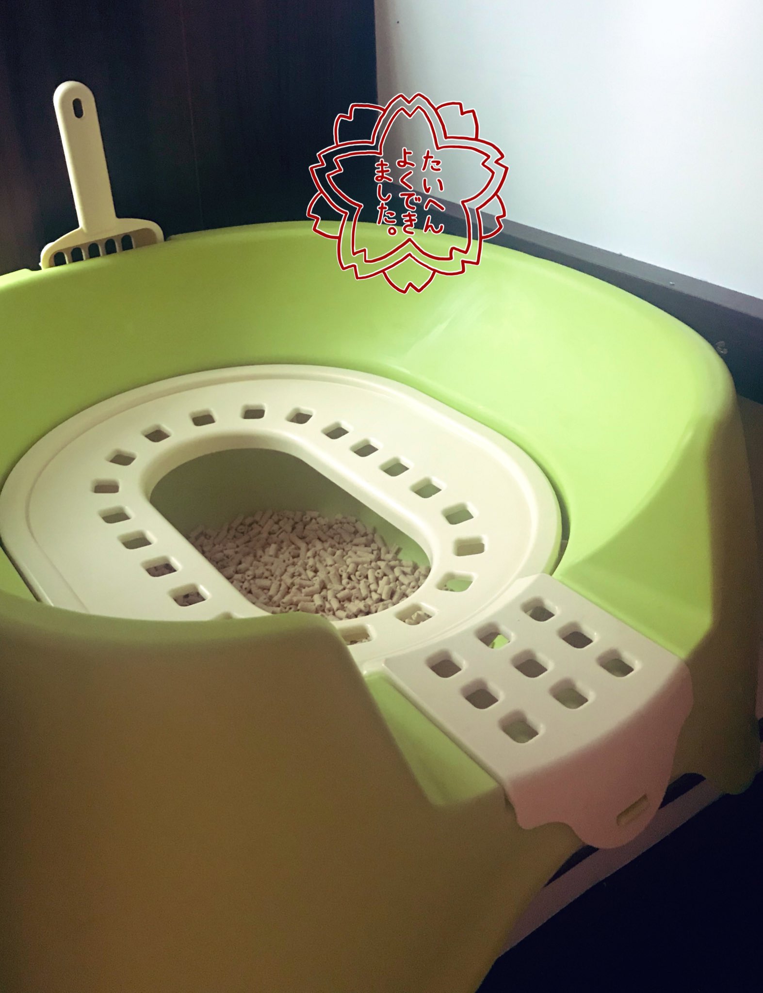 猫のトイレ掃除 Twitter Search Twitter