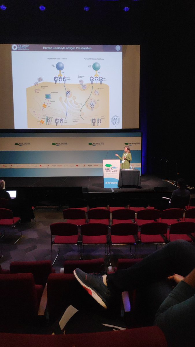 Purcell Lab (@purcelllab) on Twitter photo Next up, Nicola Ternette of <a href="/UniofOxford/">University of Oxford</a>, who will tell us about value and limitations of LC-MS HLA-ligandome for antigen discovery and vaccine development.
#HUPO2019
#Immunopeptidomics Next up, Nicola Ternette of <a href="/UniofOxford/">University of Oxford</a>, who will tell us about value and limitations of LC-MS HLA-ligandome for antigen discovery and vaccine development.
#HUPO2019
#Immunopeptidomics