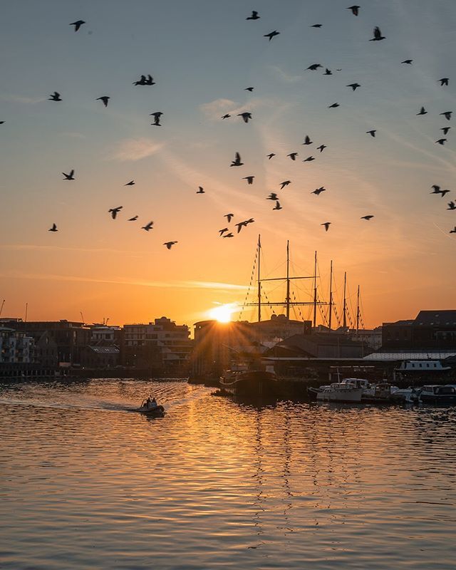 sambinding's tweet photo. It’s some birds and Isambard’s boat
.
.
.
This photo was not without its risks - being carpet bombed by a battalion of pigeons for a start
.
.
.
#bristol #igersbristol #appicoftheweek #earth_shotz #moodygrams #gramslayers #agameof10k #aov5k #mg5k #trappi… https://t.co/qY1fqhrFZg https://t.co/euRJI9gfYB