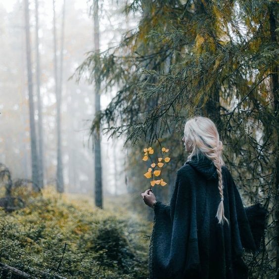 HuldaThewitch's tweet photo. здорово вернуться в родные сердцу места. https://t.co/66ug8YZc5Q