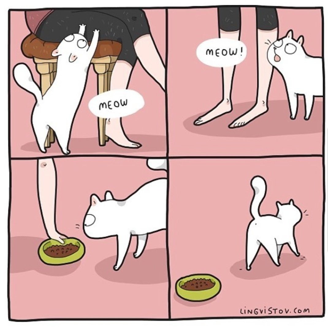 ulat_bulu_bulu's tweet photo. What do they want exactly? 😤

📷 : Lingvistov https://t.co/fUvt1WMItl