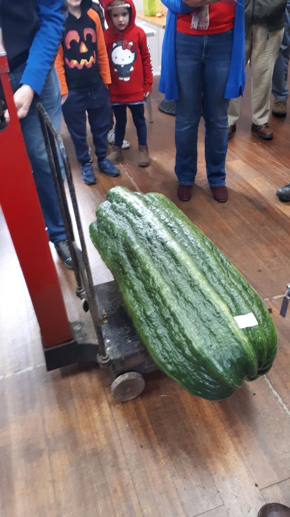 timjb69's tweet photo. Our annual Marrow Show at Sawrey, 112lbs was the winning weight. #Lakedistrict #villagetraditions #rurallife https://t.co/NbDV2rxdLh