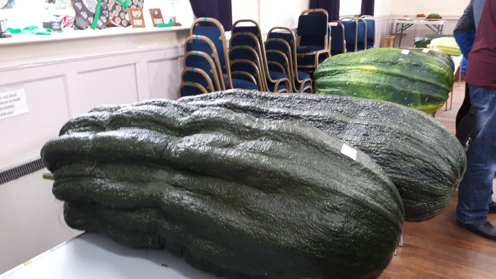 timjb69's tweet photo. Our annual Marrow Show at Sawrey, 112lbs was the winning weight. #Lakedistrict #villagetraditions #rurallife https://t.co/NbDV2rxdLh