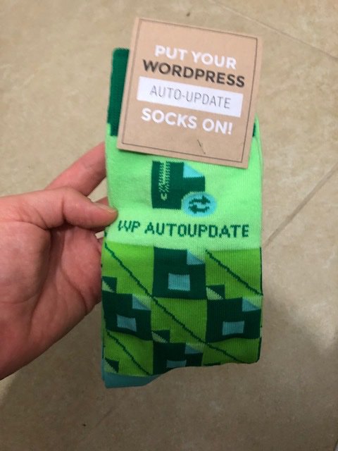 IRGwebsites's tweet photo. Thank you @Siteground for these awesome socks! https://t.co/CquRamWcGi