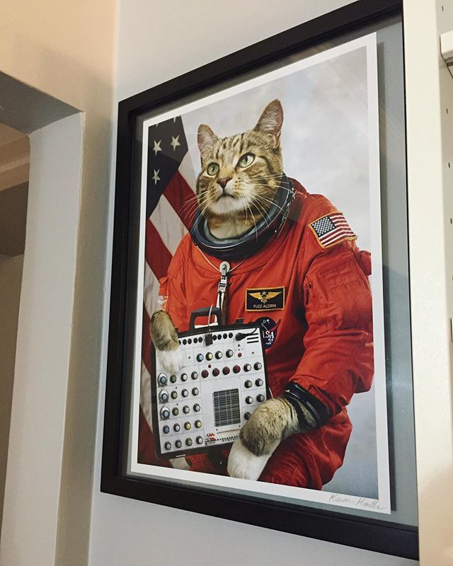 Nummymuffin's tweet image. Finally, #FuzzAldrin is up on my wall in the best possible place. It took a while because I wanted to have more furniture in place to judge exactly where he should go up on the wall. This is perfect. 😻 #catsonsynthesizersinspace #catsonsynthesizers #… ift.tt/32IrY85