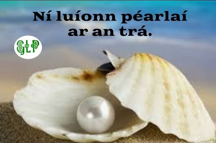 GaeilgeP's tweet photo. Ní luíonn péarlaí ar an trá #péarlaí #trá #luach #tóraíocht #seanfhocal #gaeilge #gaeilgelepád #glp https://t.co/GyzQNw1V5U