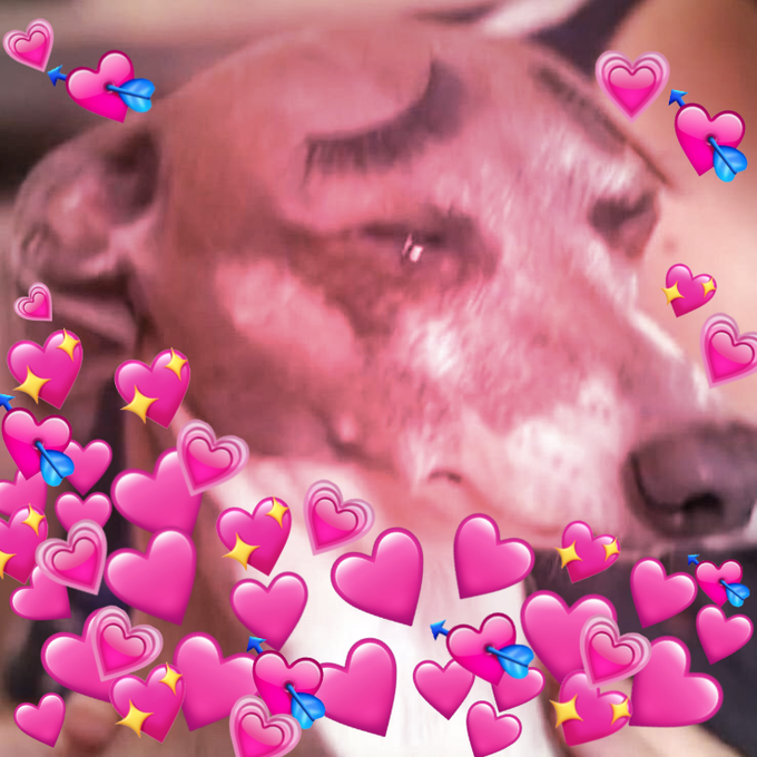 Watch ❤️❤️GUMMY❤️❤️'s leaked NSFW photo on TwXstars