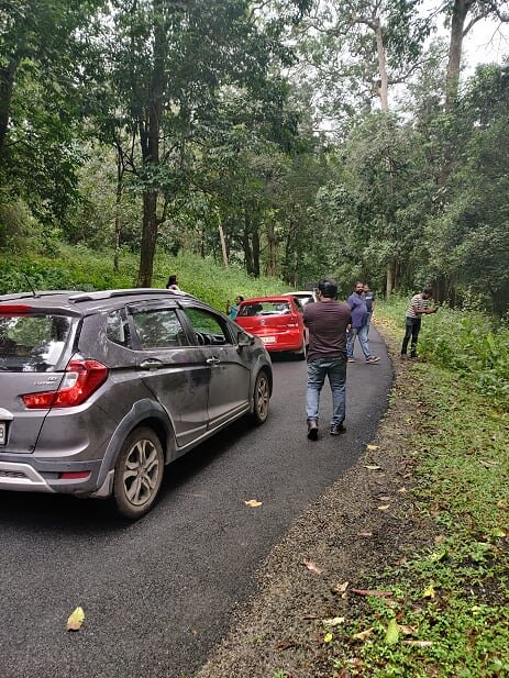 TheIndianRTC's tweet photo. A getaway to Idukki &amp; trek one of #Kerala’s newest trekking trails!
This #weekend join #RTCKochi as we drive to #Vagamon, later we take a hike in the woods, take a dip in the river returning to settle for the night at a homestay😍
Details: https://t.co/vQou8QOf2r
#Roadtrip #Kochi https://t.co/IF7ONvohzF