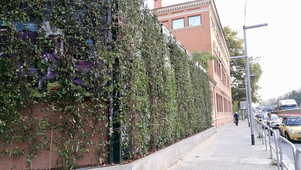 Per fi el mur fonoabsorbent de l’#EscolaCasas va prenent forma 🍀🌳🌿 Mini bombolla per frenar #contaminació #murverd #vegetació
#méssalut #Clot  Pendents de la construcció del #túnel de #lesGlories  ☝🏼🚗🚧🏗🚸😷