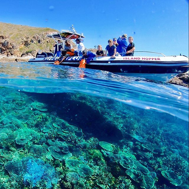Colour and clarity...just another Keppel day 💁‍♀️🙌☀️🏝💦
.
.
.
.
.
.
.
.
.
#keppelexplorer #visitcapricorn #seeaustralia #thisisqueensland #queensland #southerngreatbarrierreef #greatbarrierreef #greatkeppelisland #keppelisland #yeppoon #islandlife #boat #paradise #beach #isla…