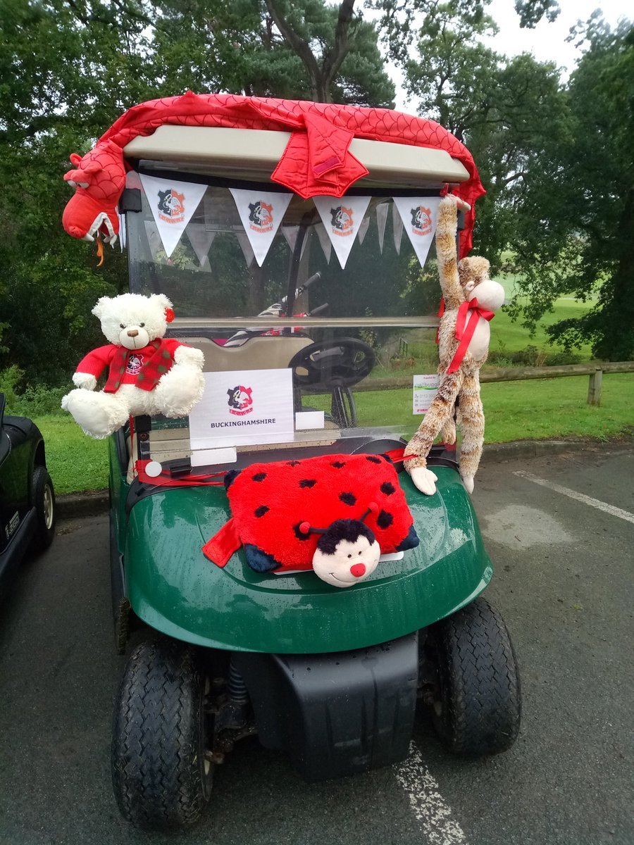 And the winner of the 2019 Ladies County  Finals best dressed Team Buggy goes to.... @BucksLadiesGolf <a href="/EnglandGolf/">England Golf</a> <a href="/delameregolf/">Delamere Forest GC</a>