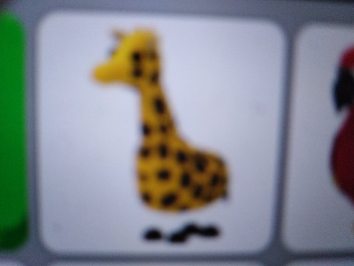 Giraffe In Adopt Me Roblox