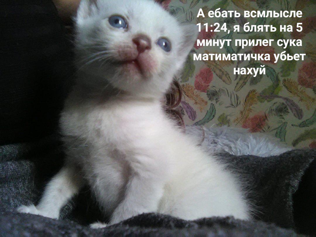 EEkktITXYAE9XNa?format=jpg&name=medium