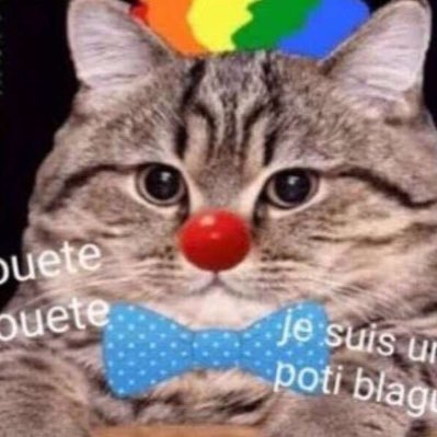 CptrJade's tweet photo. #NouvellePhotoDeProfil https://t.co/sp9PhC6VTi