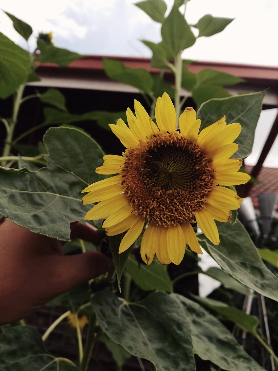 Duané Viljoen (@viljoendua) on Twitter photo 