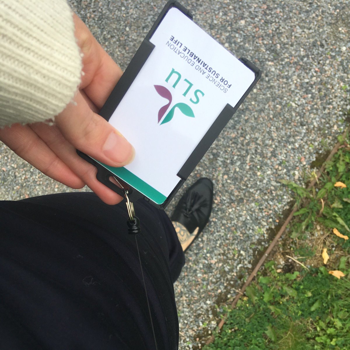 Monique Smith (@moniquesmith01) on Twitter photo It’s official! First day at @_SLU in the @BommarcoLab as a #postdoc looking into #ecosystemservices #diversifiedagriculture #cropyeilds #croprotations #longtermdata #ecology #agriculture It’s official! First day at @_SLU in the @BommarcoLab as a #postdoc looking into #ecosystemservices #diversifiedagriculture #cropyeilds #croprotations #longtermdata #ecology #agriculture