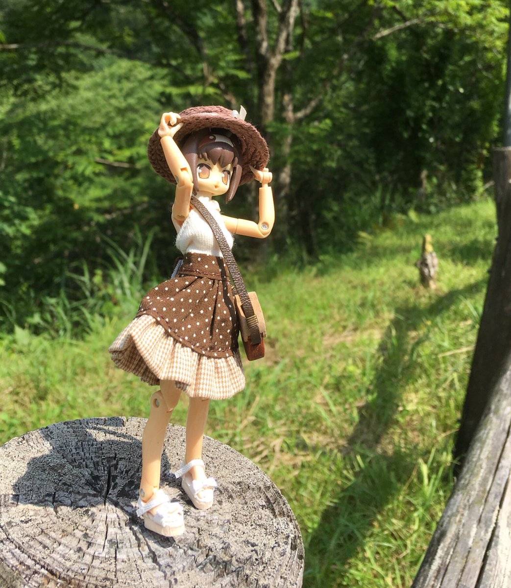 ヤシ tweet media