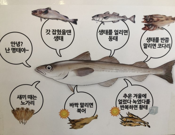 mi_ku's tweet photo. 너의 이름은 https://t.co/zvkCdqp9cc