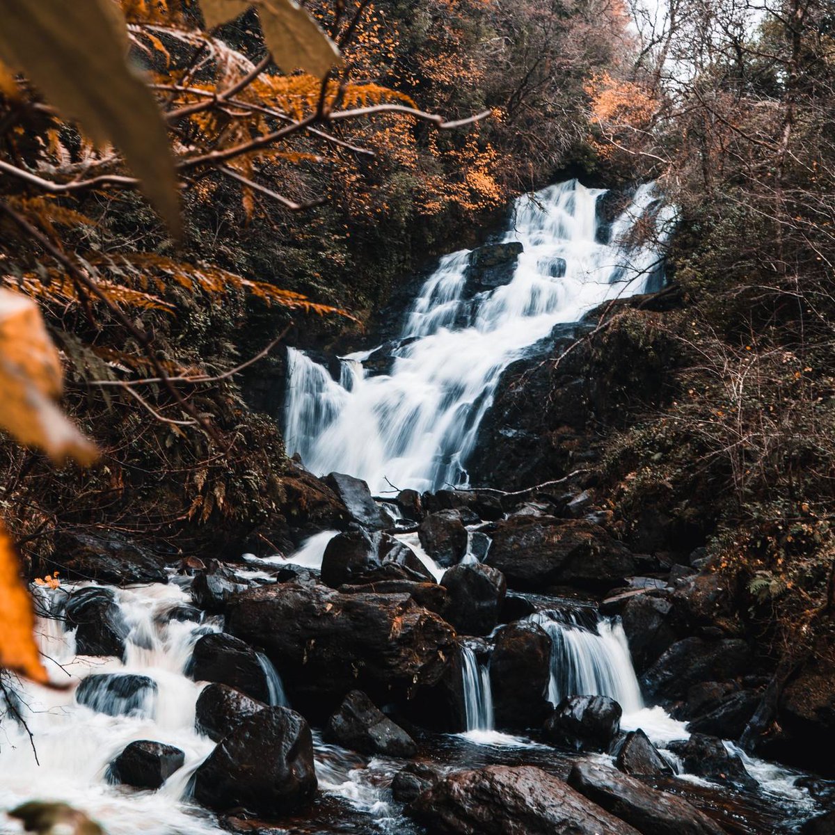 Os presentamos uno de los lugares más bonitos del mundo, un paraíso a tiro de piedra: #Killarney , una reserva natural situada al suroeste de Irlanda. 🌲

¿Te gustaría que hiciésemos una colección de lugares del mundo tan especiales como éste? ✍️