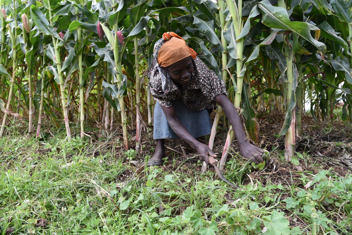 primetractor's tweet image. Thanks @Foodgrains for organizing a great learning tour to Ethiopia this summer! It was a pleasure to meet Alkese &amp;amp; Bono who are practicing conservation agriculture. Thanks @canadadev for improving the lives of so many people. May your support continue! @chriswarkentin