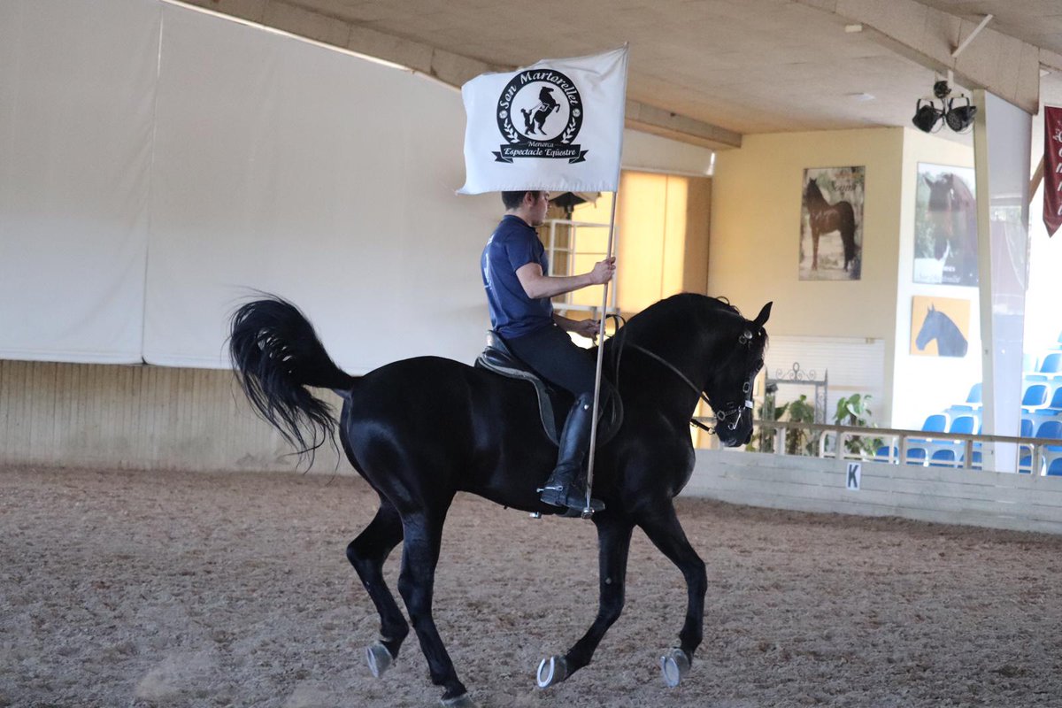 sonmartorellet's tweet photo. #lunes , #Miercoles y #Viernes entrenamientos de nuestros #caballos, a partir de las 17:00h hasta las 19:00h.

#Monday , #wednesday and #Friday training of our #horses starting at 5PM till 7PM.

#ComeVisit #Menorca #MustSee #SonMartorellet #CABALLO #hardworkpaysoff #teamwork https://t.co/xvMa5dEcWJ