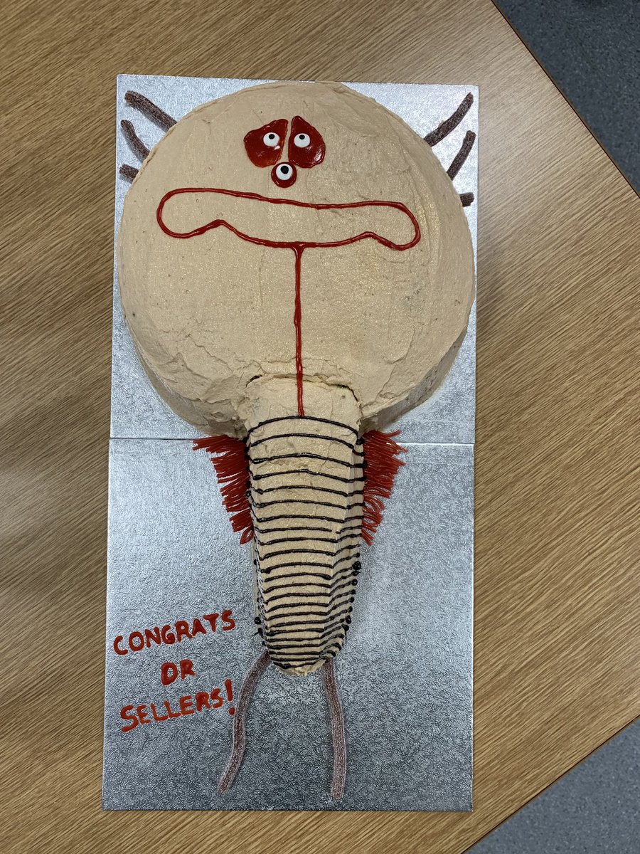 Great PhD study organism cake Triops cancriformis by <a href="/cristinadimuri/">Cristina Di Muri</a> and <a href="/stephmclean_/">Stephanie McLean</a> #triopshasthreeeyes