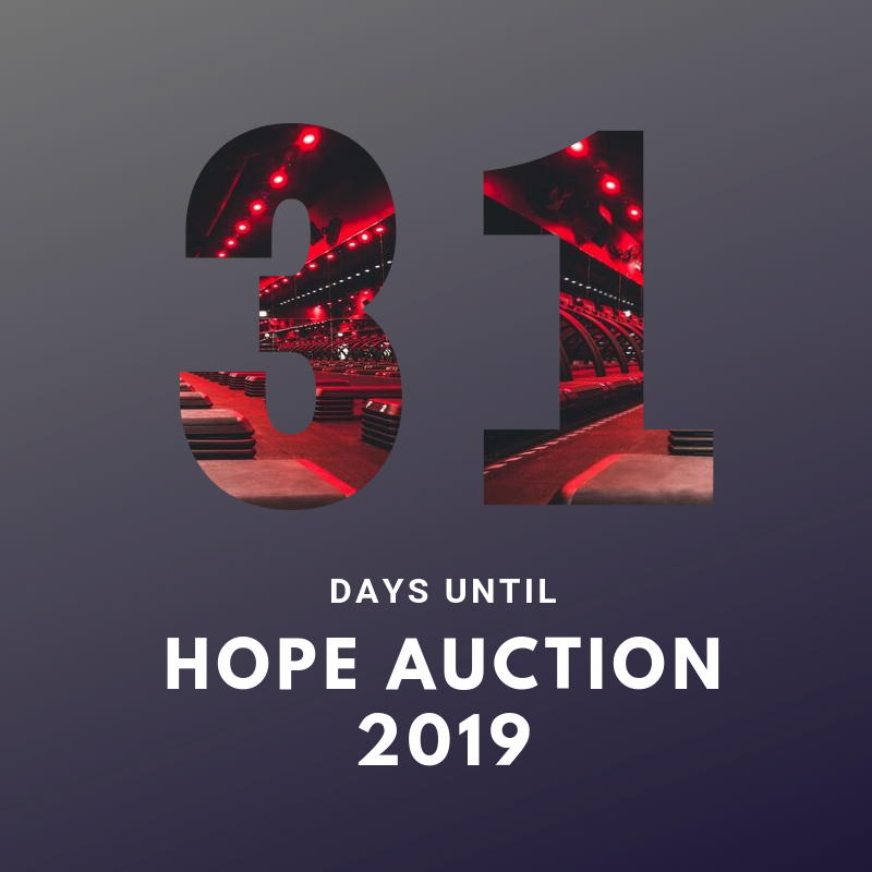 UMHOPE's tweet photo. 31 days until the HOPE auction! Swipe for an item that is being auctioned 🤩 https://t.co/8l8iGj6DmY