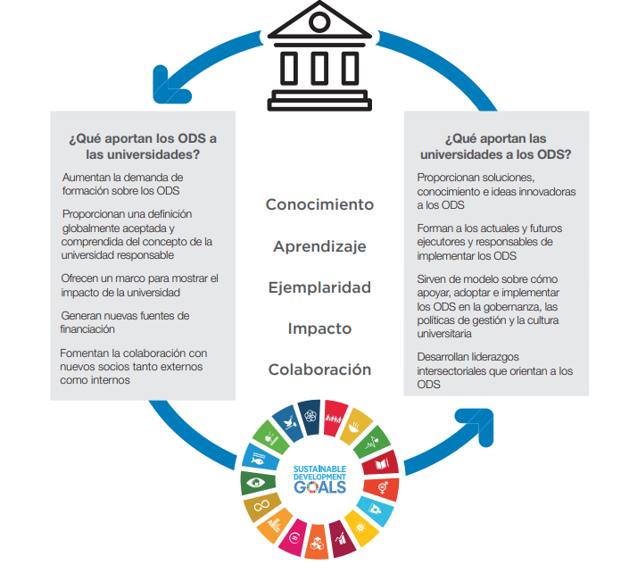 ODA_ALC's tweet photo. #FelizLunes 

Acá las principales razones para comprometerse con los
Objetivos de Desarrollo Sostenible #ODS #Agenda2030 desde las universidades👇
.
.
.
💻https://t.co/UA3aSynV19
.
.
.

#UniversidadescontraelHambre 
@ODA_ALC
 
#HambreCero 
#Intercoonecta https://t.co/mwHTNTU2fv