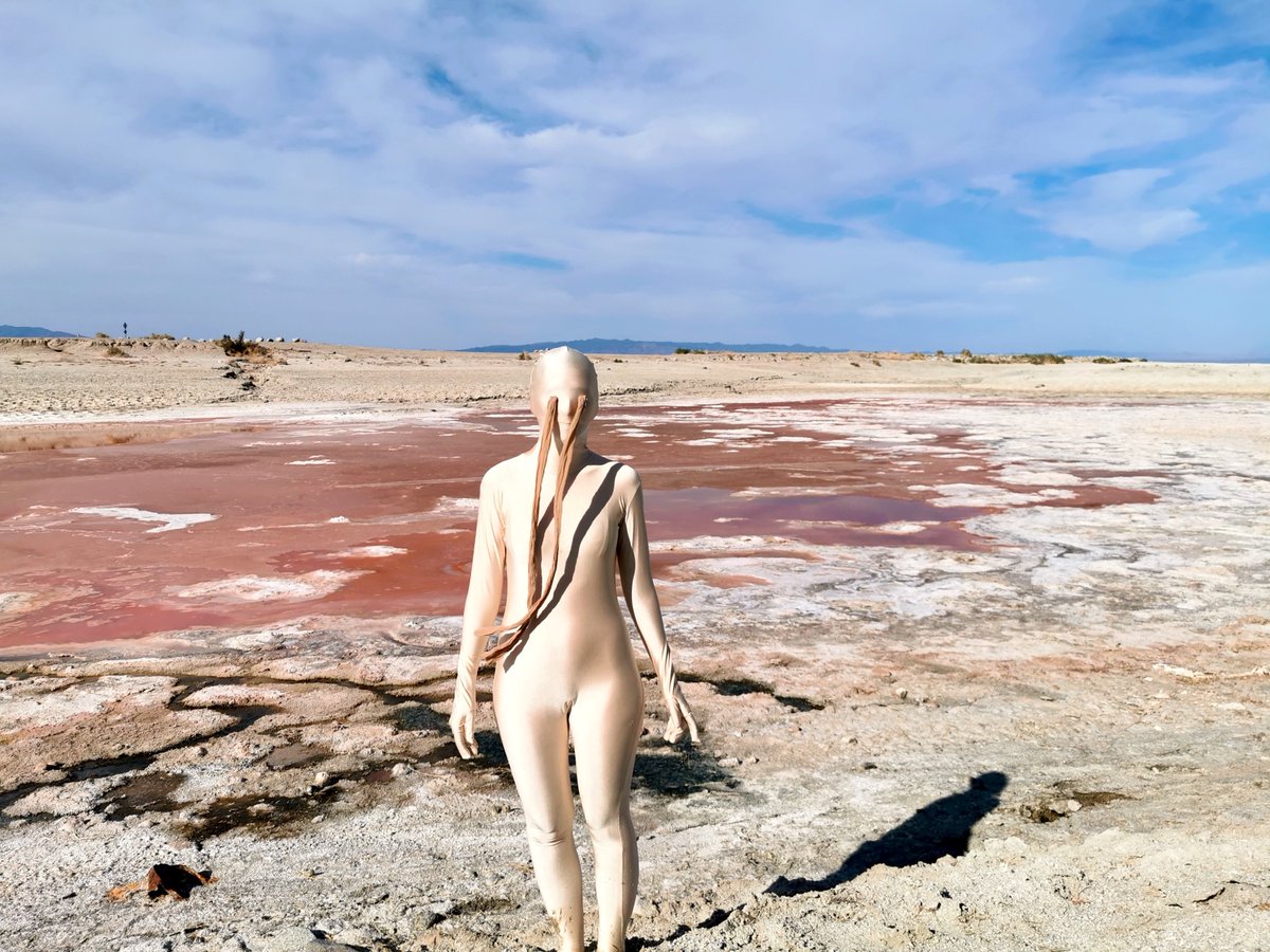 Looking forward to presenting some audiovisual extravaganza with magic realist fluidity at <a href="/ultimaoslo/">Ultimafestivalen</a> 6PM this thursday at Sentralen, Oslo!
#DesertCreatures #SaltonSea